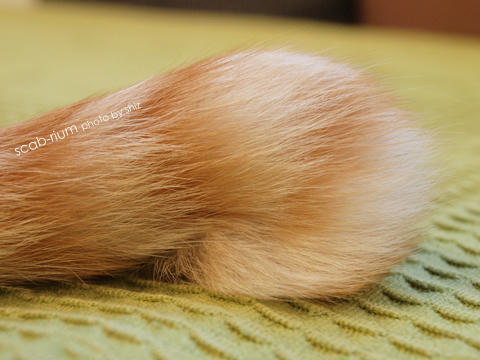 PB045068.JPG