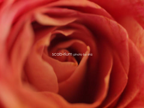 PB025031.JPG