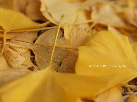 PB255403.JPG