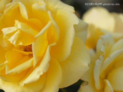 PB255345.JPG