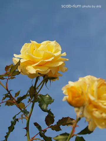 PB255354.JPG