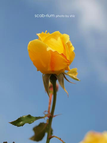 PB255363.JPG
