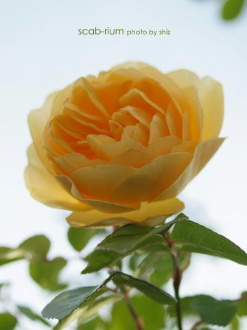 PB255387.JPG