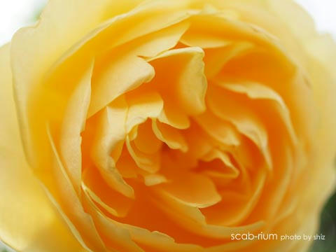 PB255388.JPG