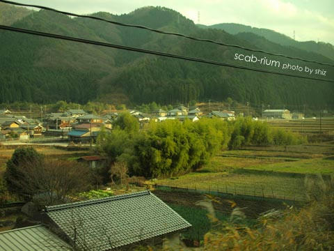 PC205948.JPG