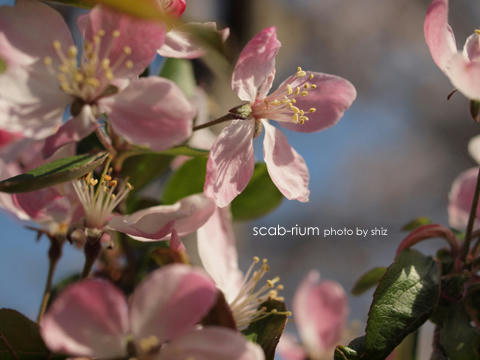 P4146980.JPG