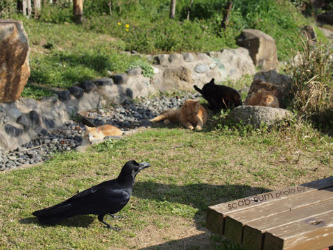 P4146972.JPG