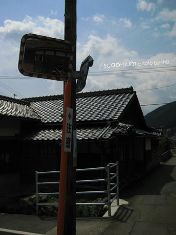 a090d084.jpg