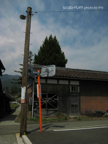 10491b75.jpg