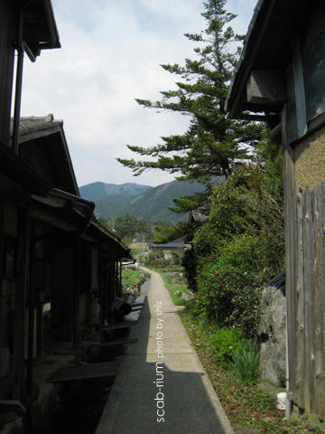 2986a9be.jpg