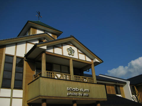 b365aafd.jpg