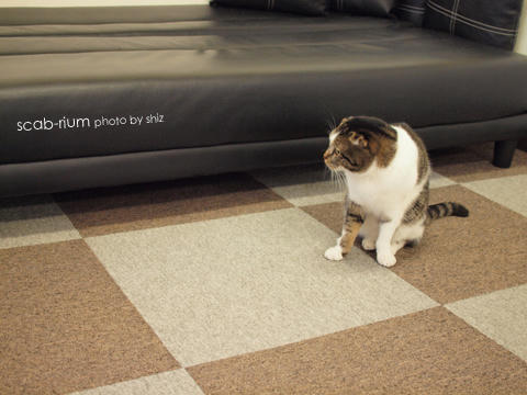 P4207030.JPG