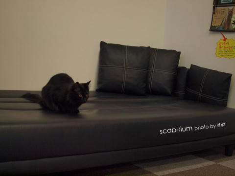 P4207071.JPG