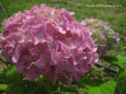 c58a3cf5.jpg