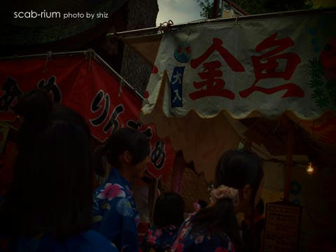 02P7177261.jpg