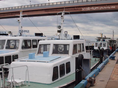 P8197283.JPG