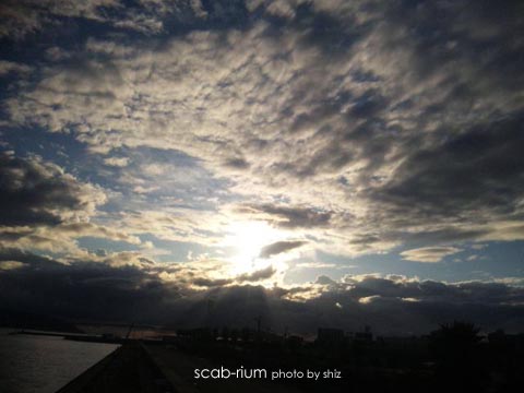 110905_17245511.jpg