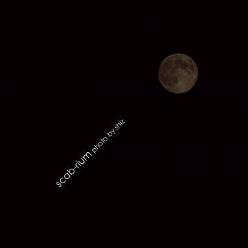 02P9127332.jpg