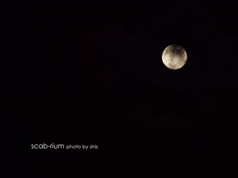 16P9127353.jpg