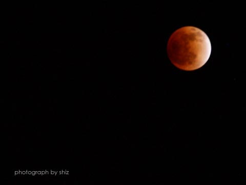 moon5.jpg