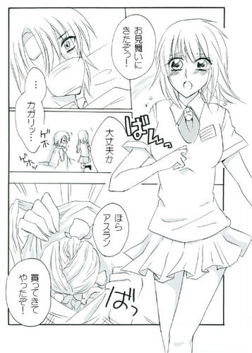 １５