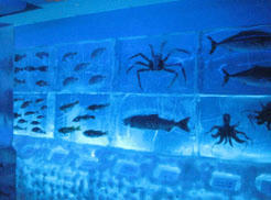sanma3.JPG