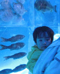 sanma1.JPG