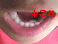 IMG_0478.gif