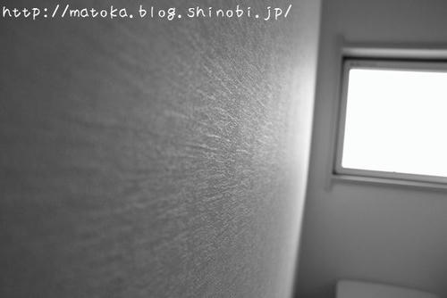 DSC05169.jpg
