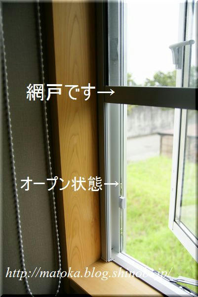 DSC06861.jpg