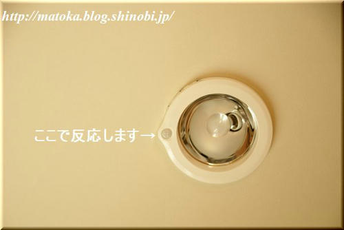 DSC07288.jpg