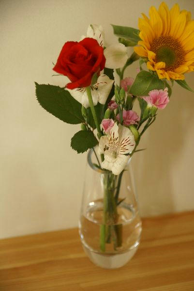 DSC00424.jpg