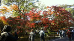 kouraku-1.jpg