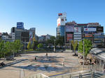 1IMG_6524.jpg