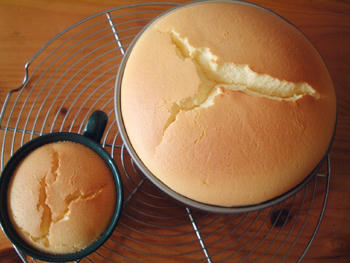 2007_1017_143001AA.jpg