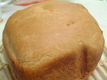 2008_0108_055545AA.jpg