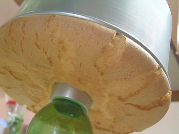 2008_0109_104304AA.jpg