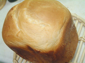 2007_0130_053928AA.jpg