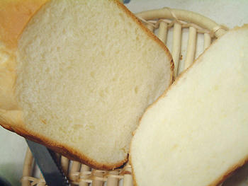 2007_0130_054829AA.jpg