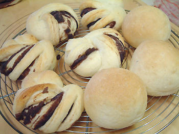 2008_0228_230015AA.jpg