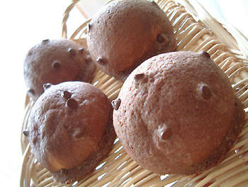2008_0301_221712AA.jpg