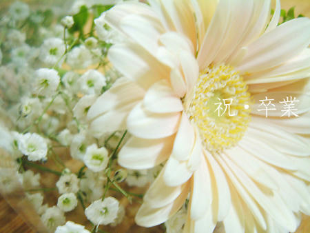 祝・卒業。