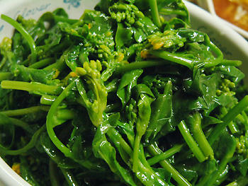 2008_0407_205102AA.jpg