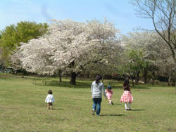 2008_0412_094507AA.jpg