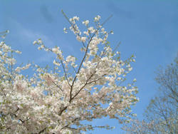 2008_0412_094548AA.jpg