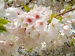 2008_0412_094826AA.jpg