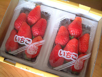 2008_0412_122515AA.jpg