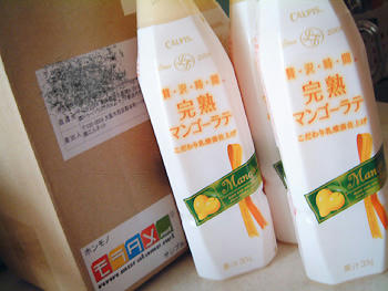 2008_0411_143313AA.jpg