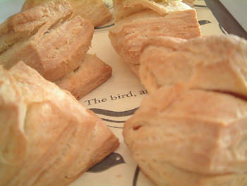 2008_0516_162625AA.jpg