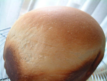 2008_0630_130133AA.jpg